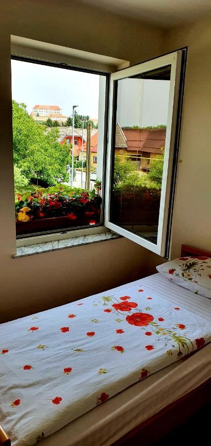 Apartment Luna Ptuj Ngoại thất bức ảnh